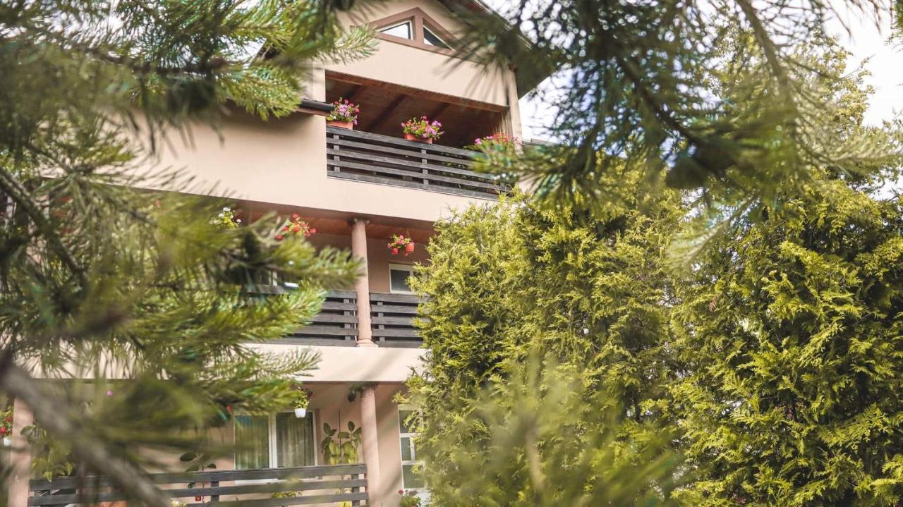 Hotel Casa Poiana Teiului Exterior foto